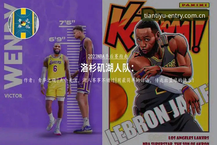 湖人篮球分析师选拔完整指南——如何在休赛期选择最优方案